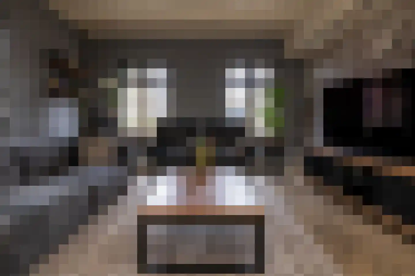 Gerstweg 25 Elspeet thumbnail 17