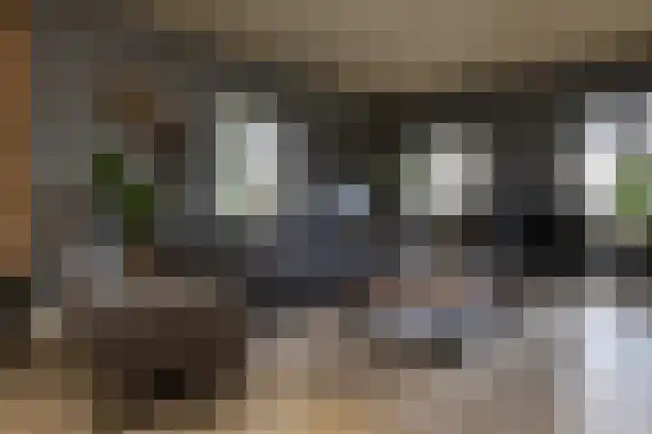 Gerstweg 25 Elspeet thumbnail 18