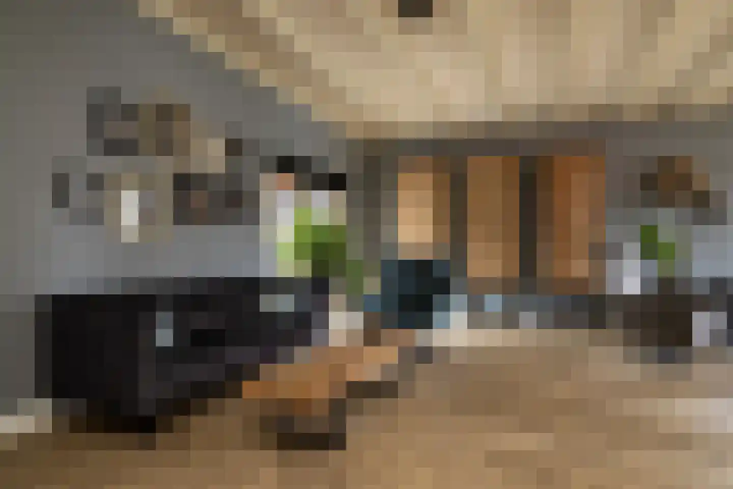 Gerstweg 25 Elspeet thumbnail 20