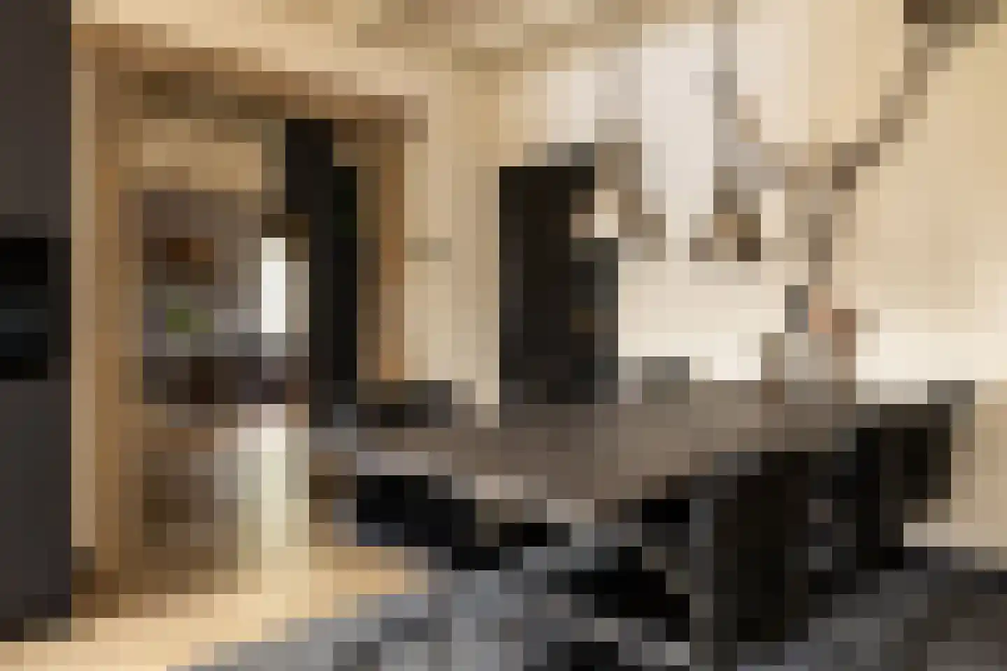 Gerstweg 25 Elspeet thumbnail 23