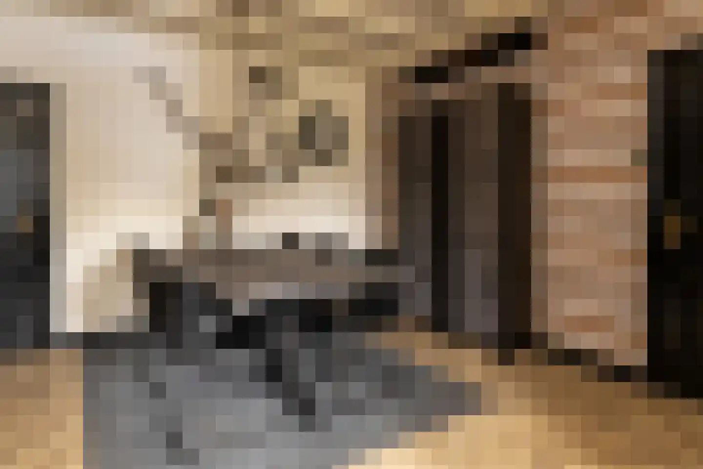Gerstweg 25 Elspeet thumbnail 24