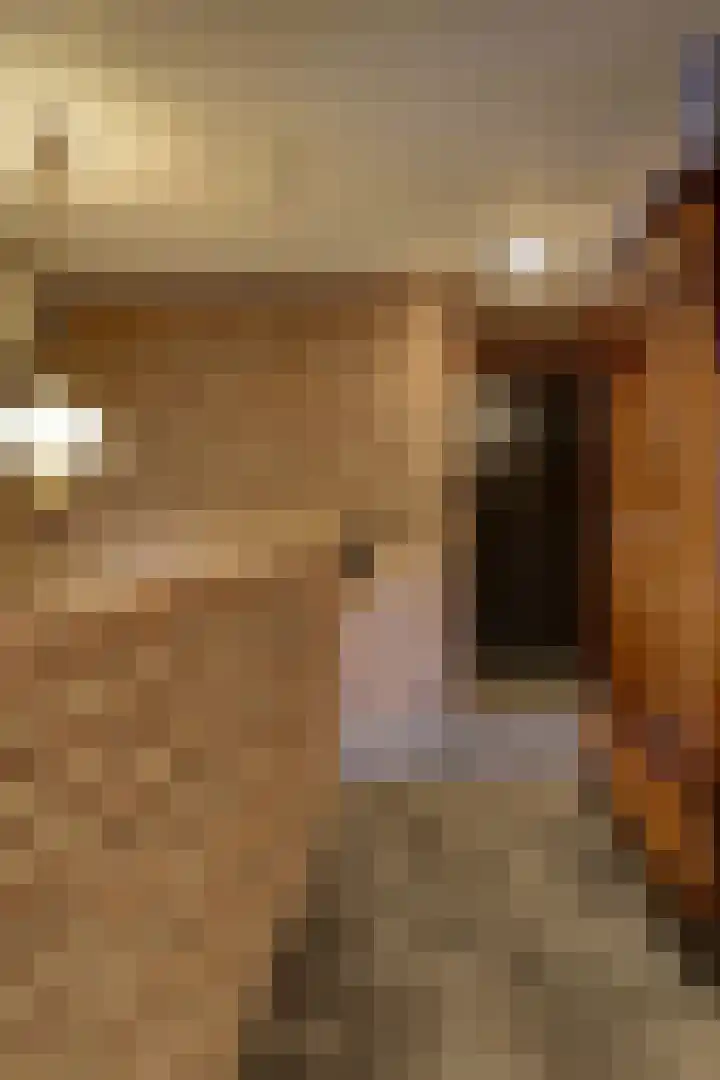 Gerstweg 25 Elspeet thumbnail 32