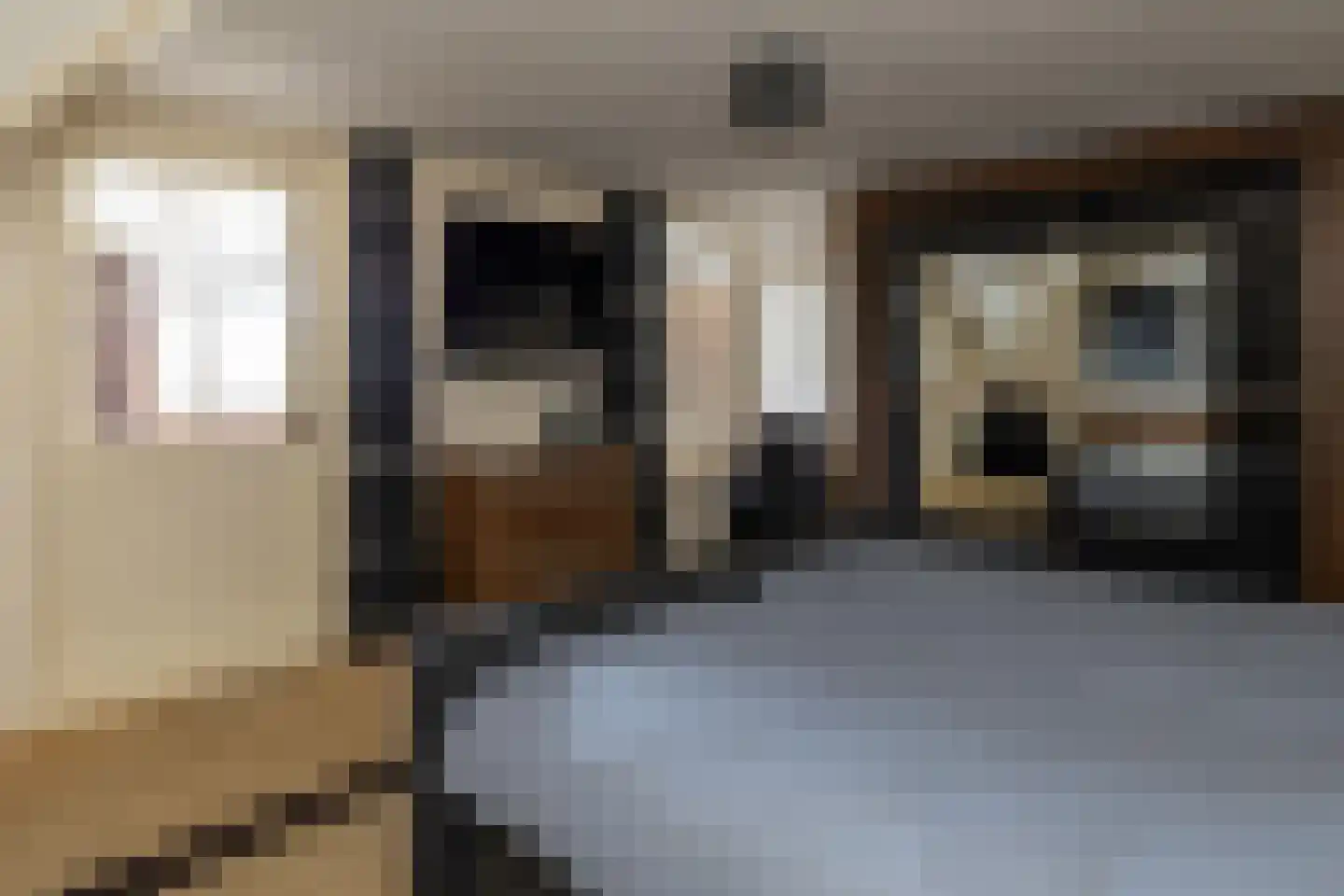 Gerstweg 25 Elspeet thumbnail 34