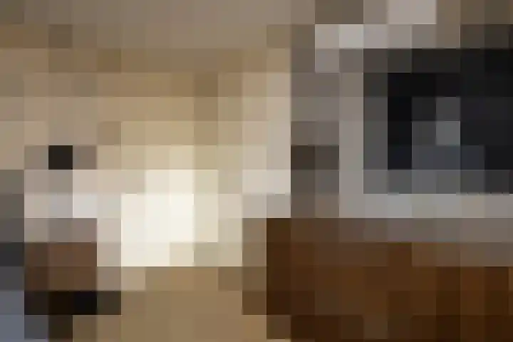 Gerstweg 25 Elspeet thumbnail 35