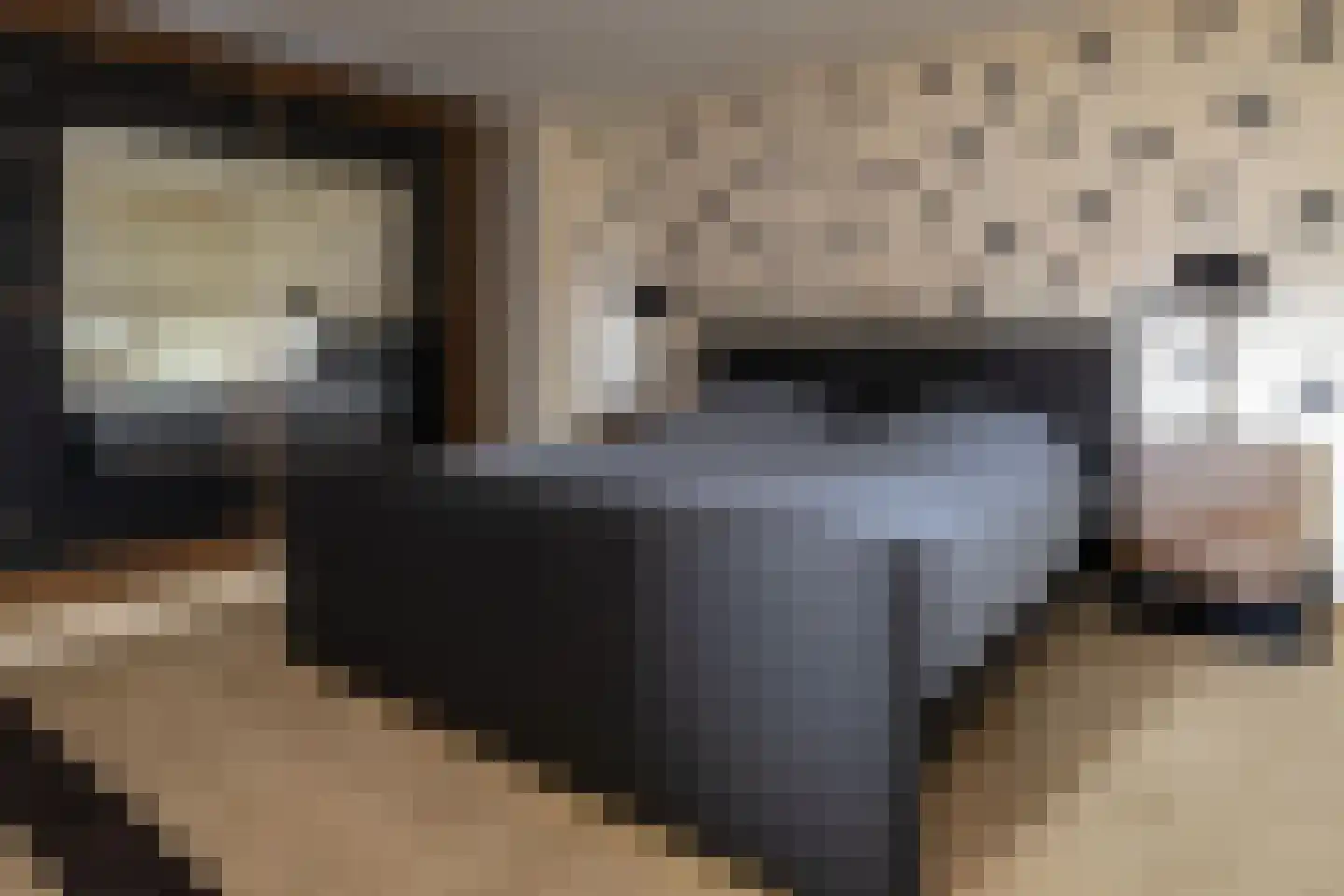 Gerstweg 25 Elspeet thumbnail 35
