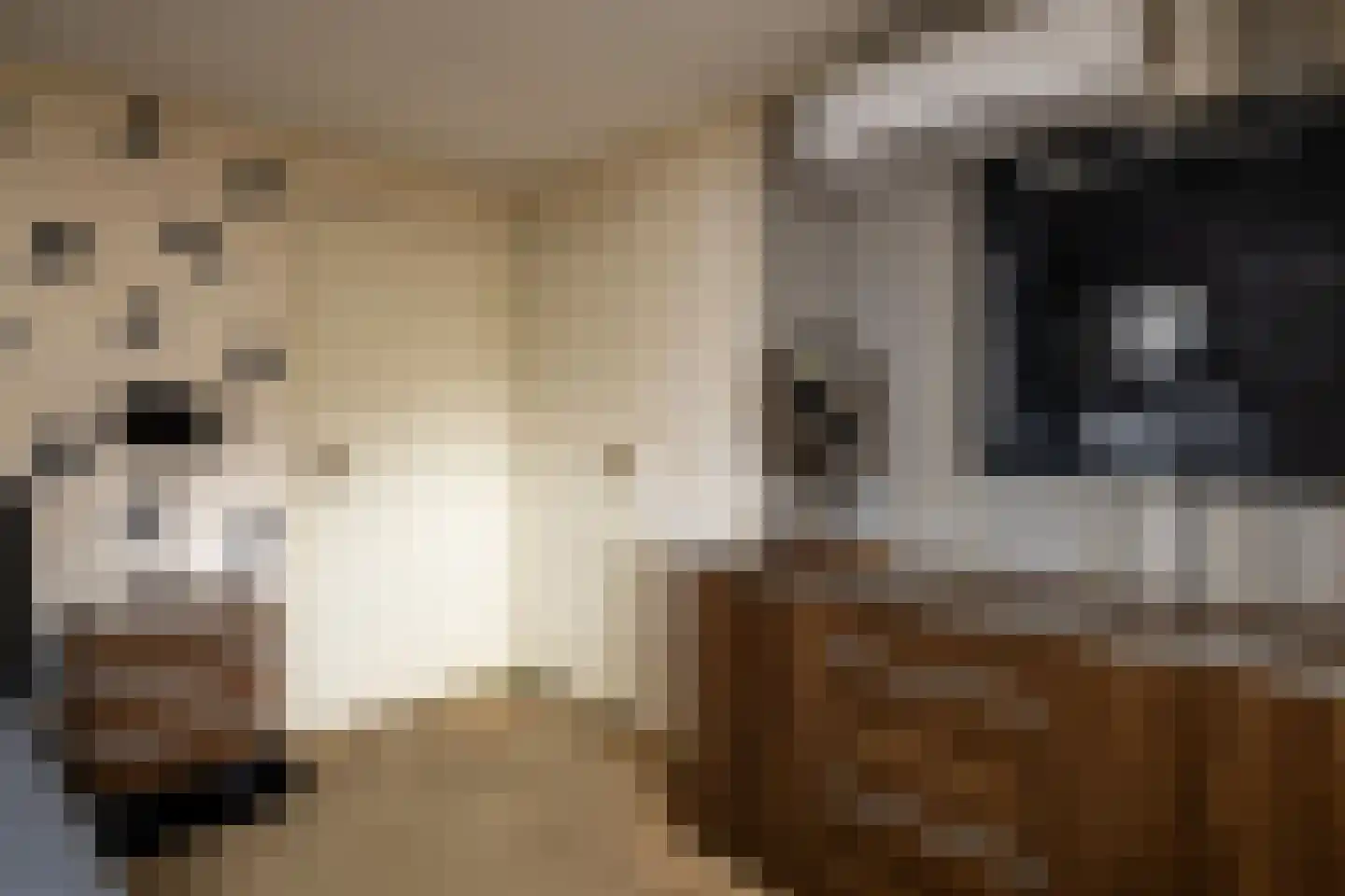 Gerstweg 25 Elspeet thumbnail 36