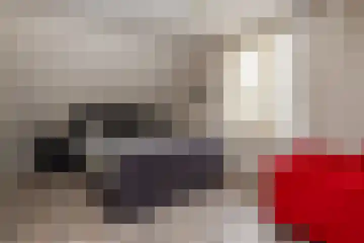 Gerstweg 25 Elspeet thumbnail 40