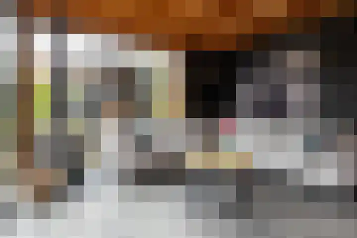Gerstweg 25 Elspeet thumbnail 50