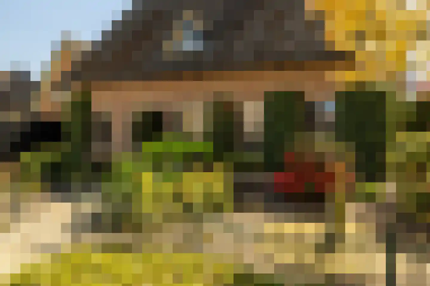 Gerstweg 25 Elspeet thumbnail 54