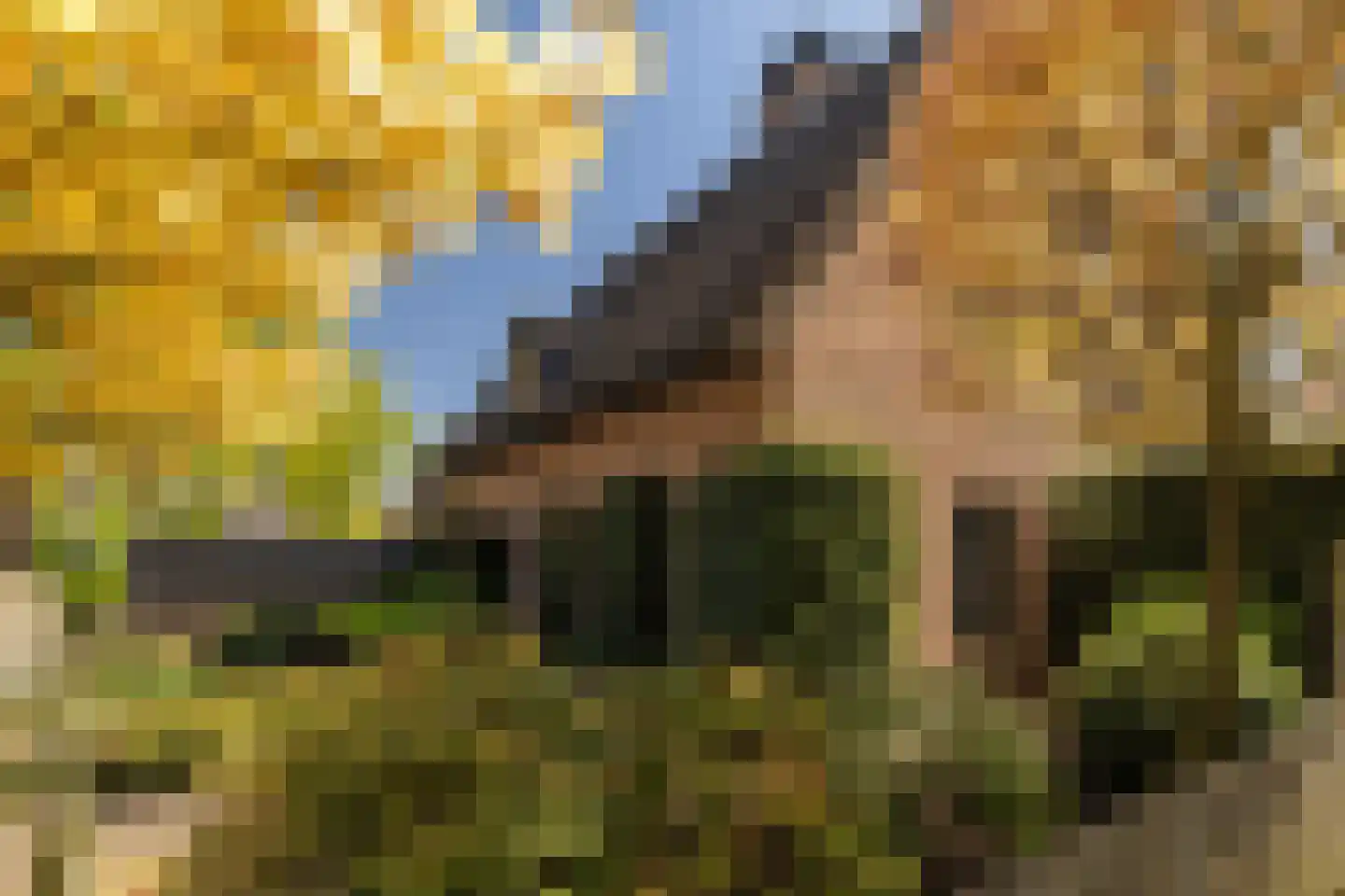 Gerstweg 25 Elspeet thumbnail 55