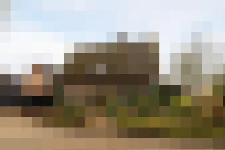 Gerstweg 25 Elspeet thumbnail 55
