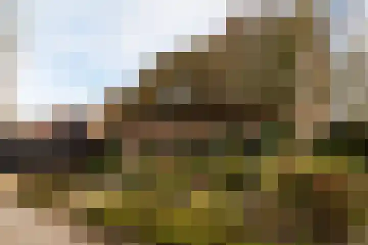 Gerstweg 25 Elspeet thumbnail 56