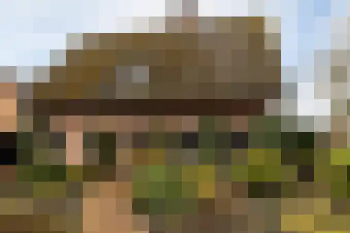 Gerstweg 25 Elspeet thumbnail 57