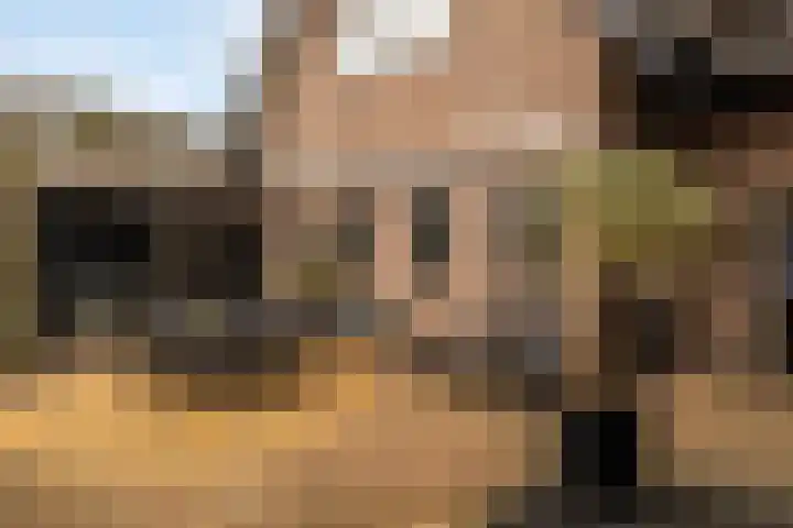 Gerstweg 25 Elspeet thumbnail 8