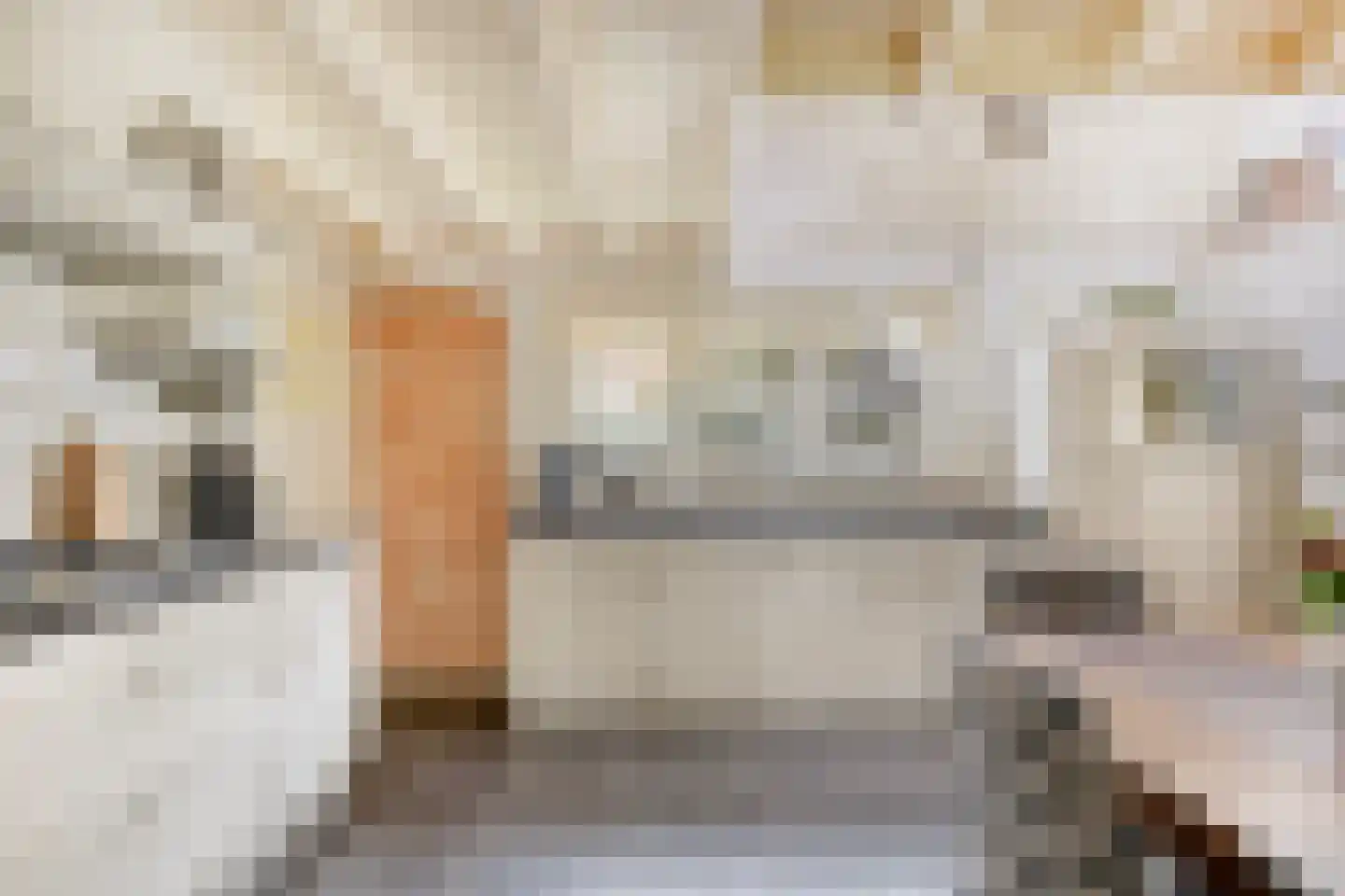 Gerstweg 3 Hulst thumbnail 10