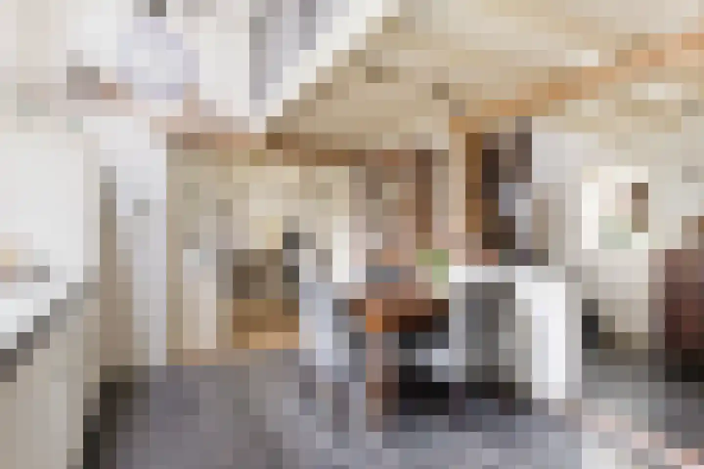 Gerstweg 3 Hulst thumbnail 11