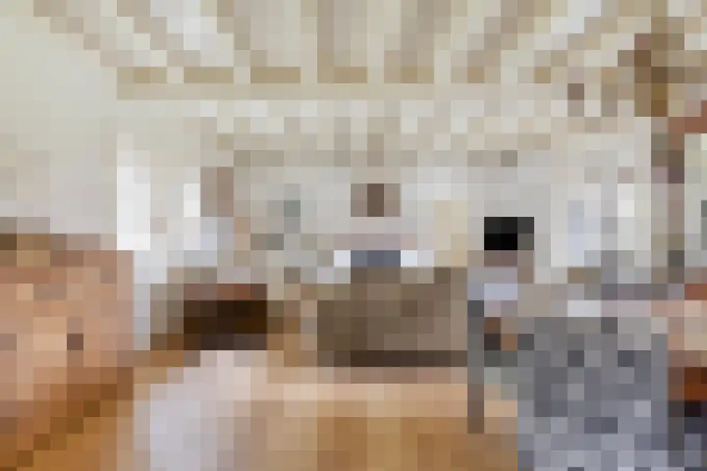 Gerstweg 3 Hulst thumbnail 13