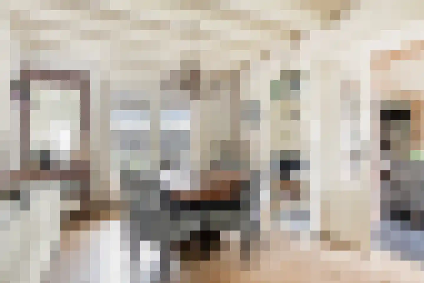 Gerstweg 3 Hulst thumbnail 17