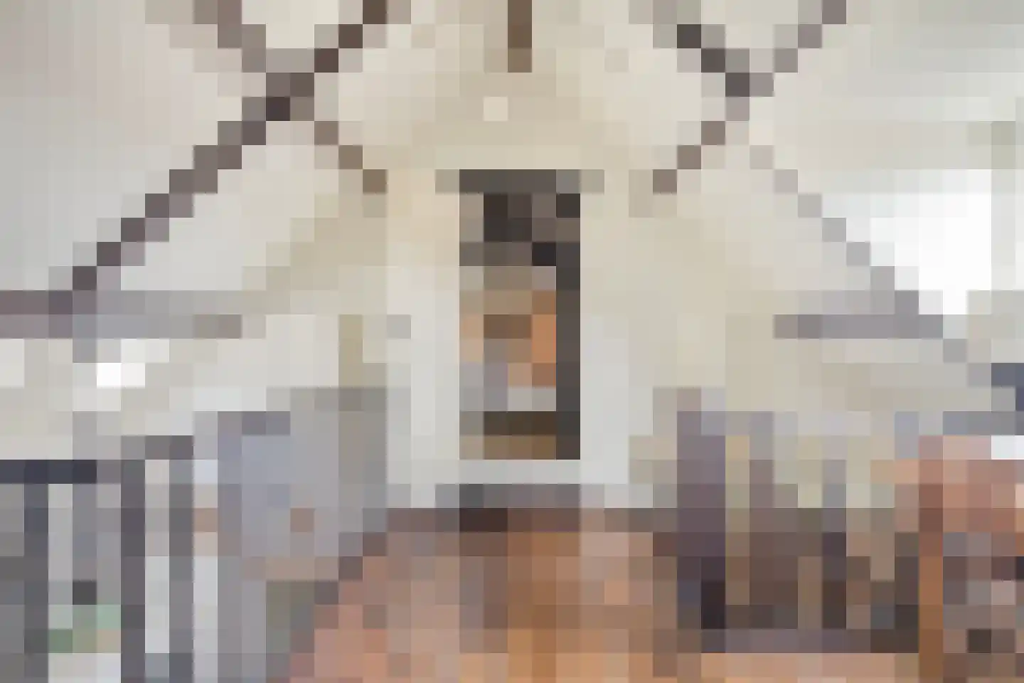 Gerstweg 3 Hulst thumbnail 24