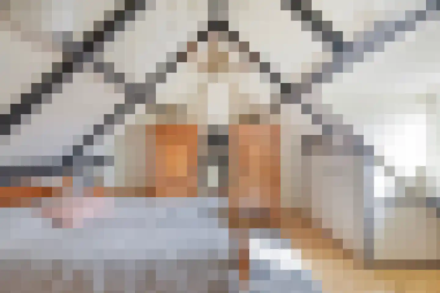 Gerstweg 3 Hulst thumbnail 27