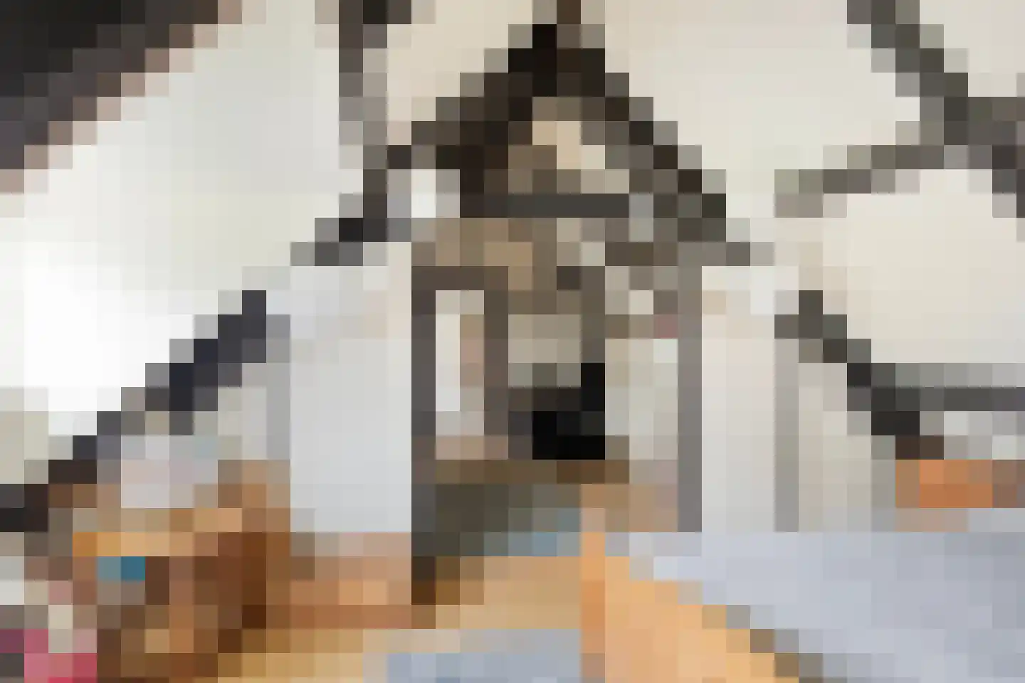 Gerstweg 3 Hulst thumbnail 28