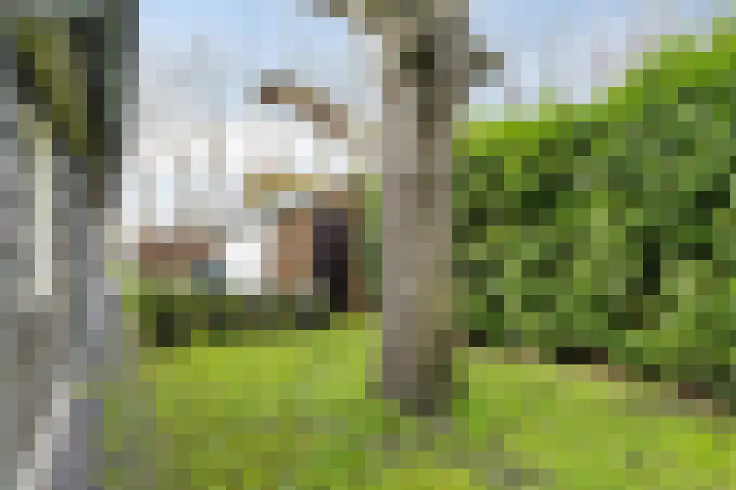 Gerstweg 3 Hulst thumbnail 33