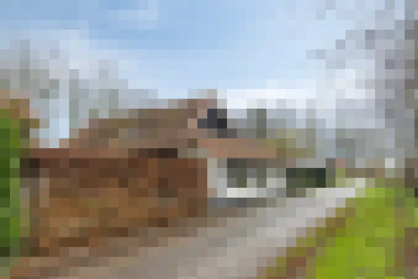 Gerstweg 3 Hulst thumbnail 34
