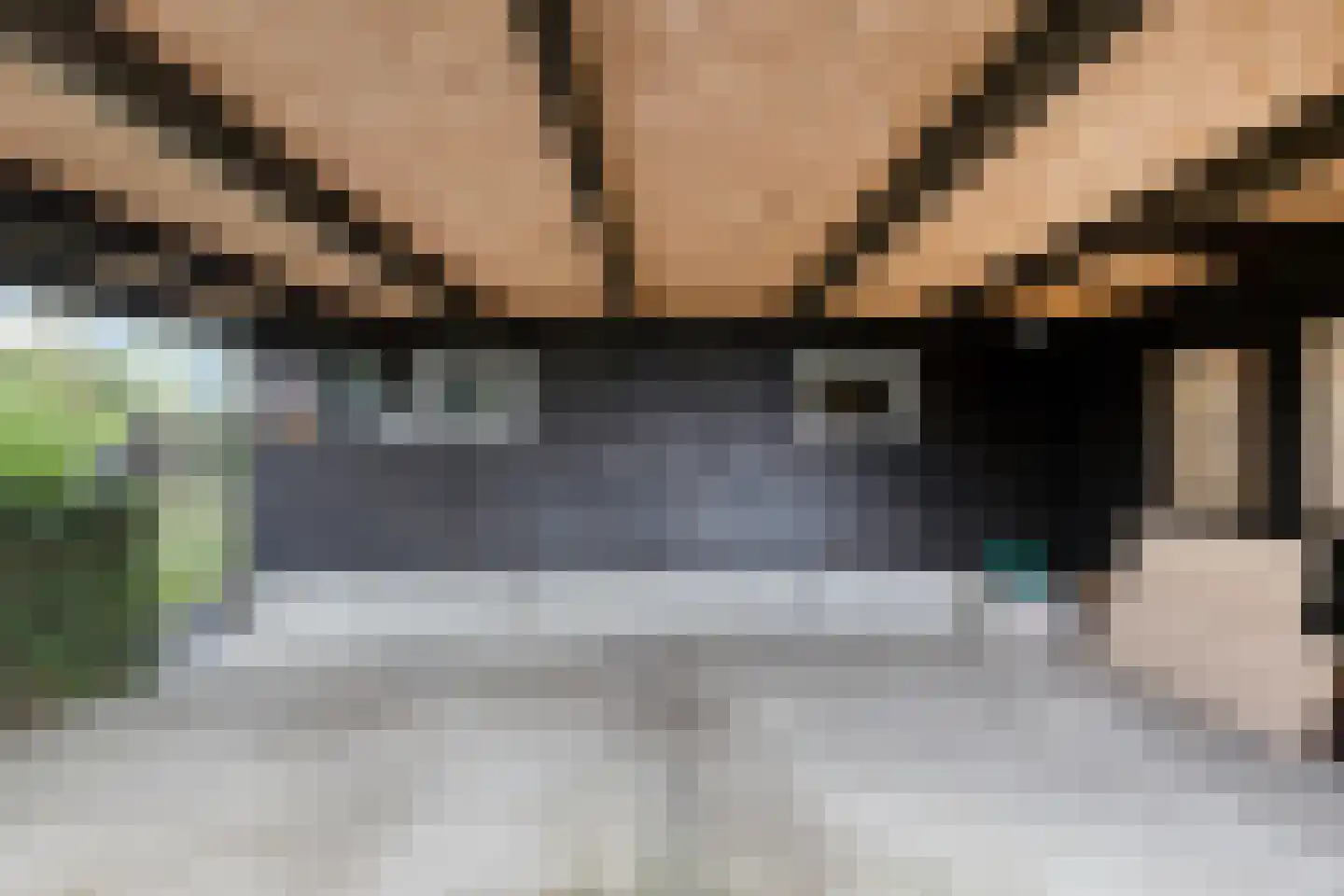 Gerstweg 3 Hulst thumbnail 39