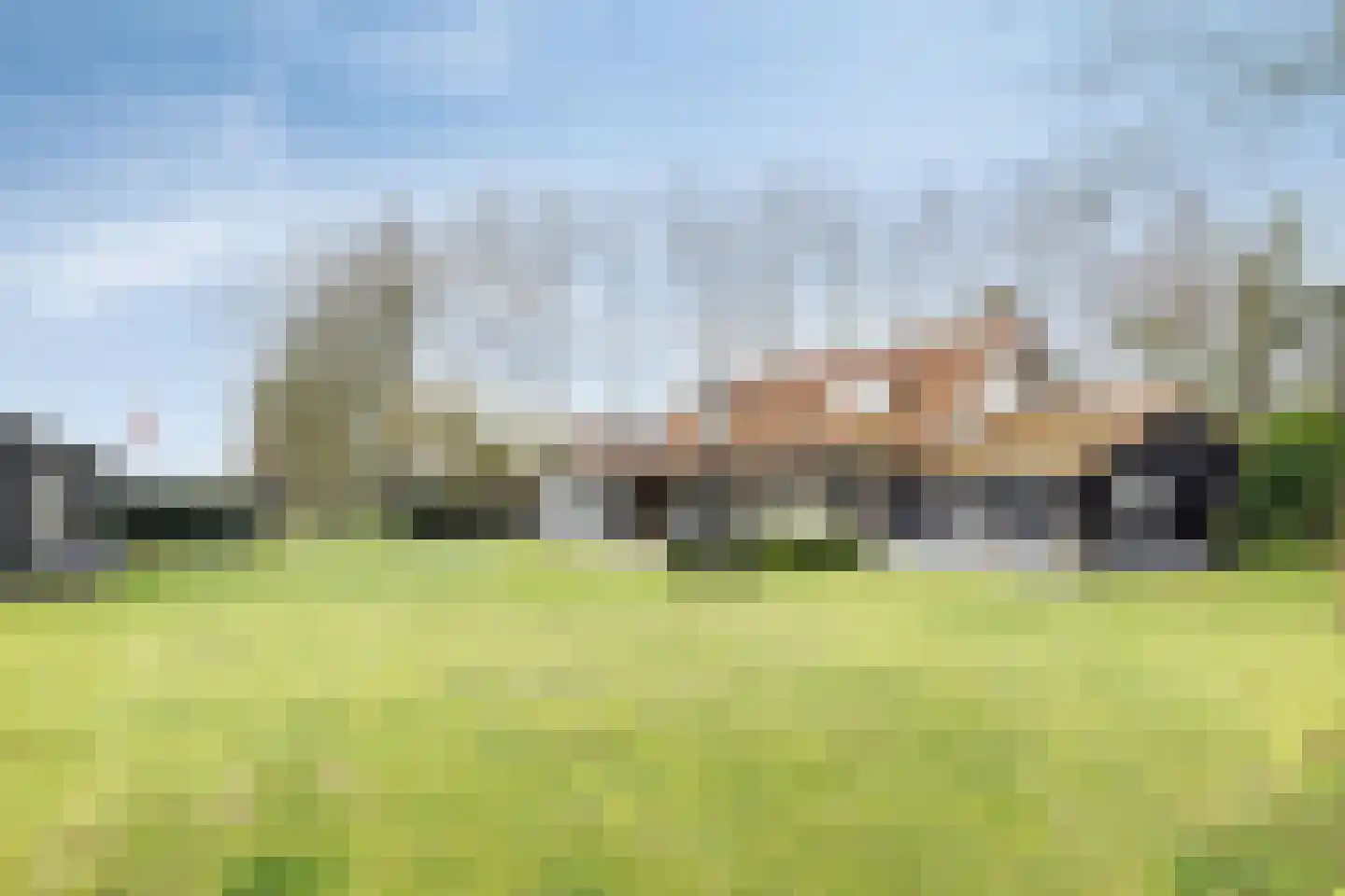 Gerstweg 3 Hulst thumbnail 4