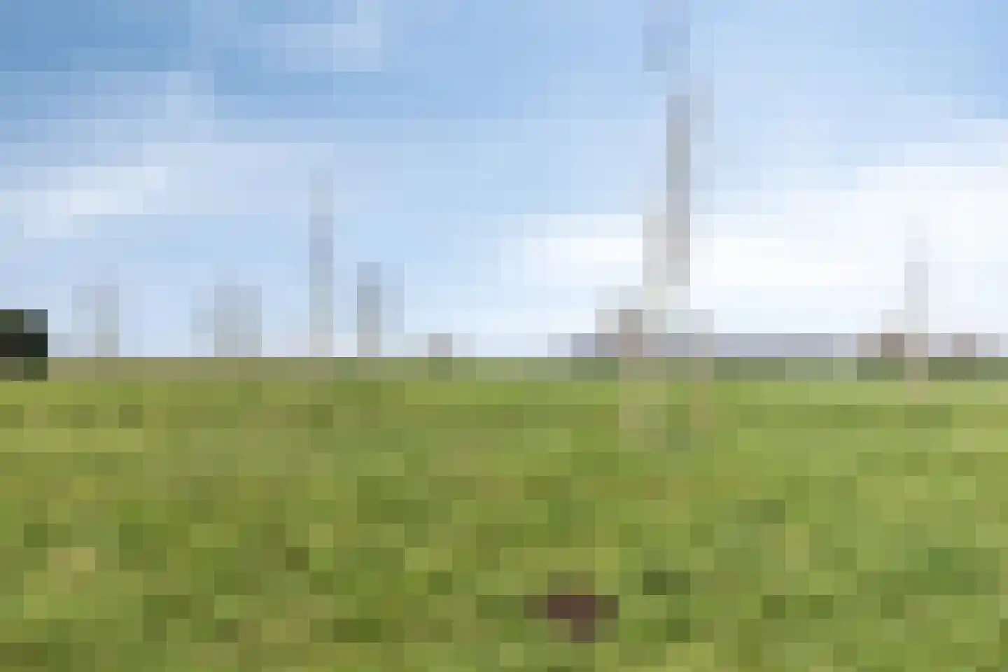 Gerstweg 3 Hulst thumbnail 40