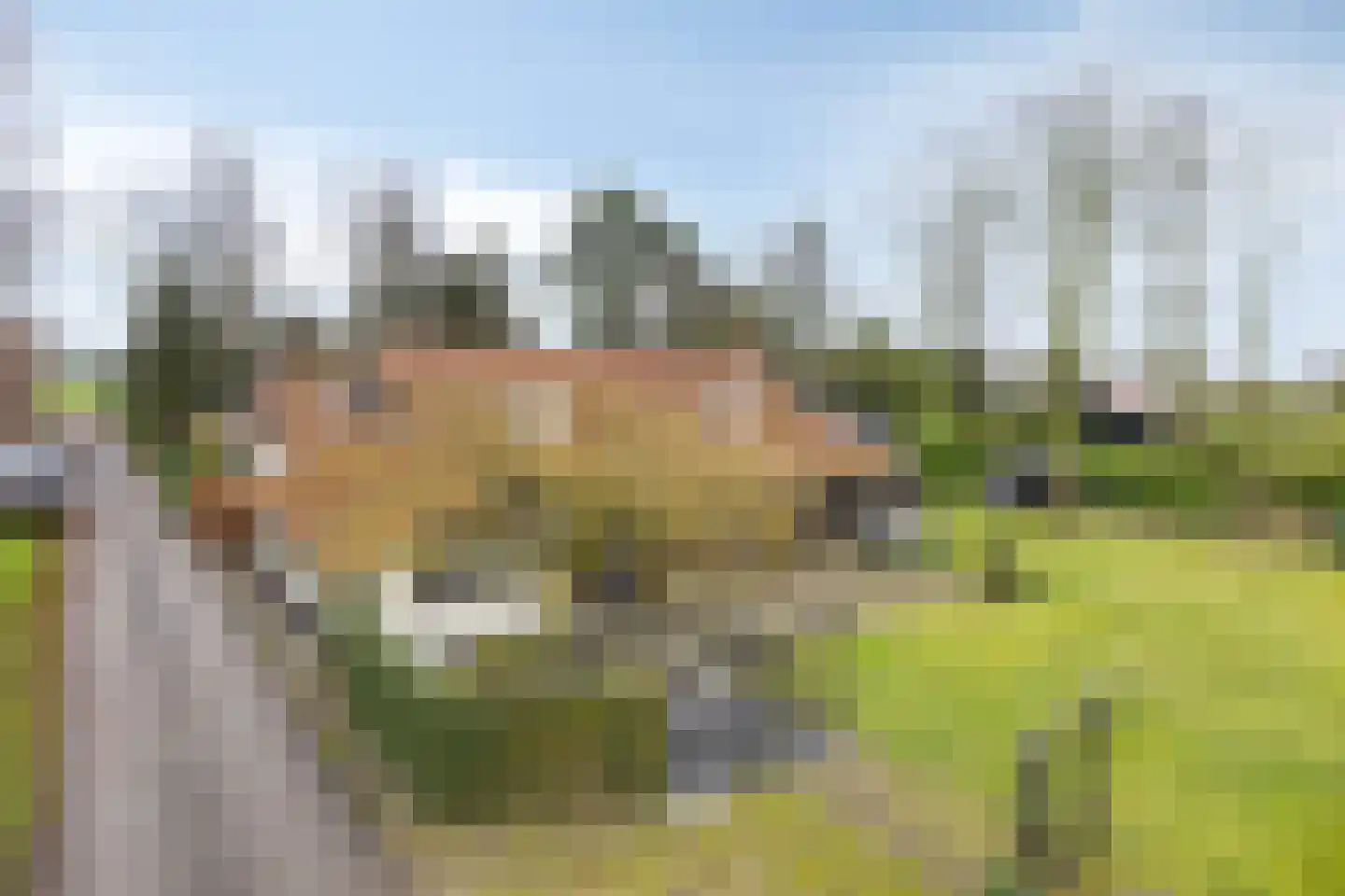 Gerstweg 3 Hulst thumbnail 5