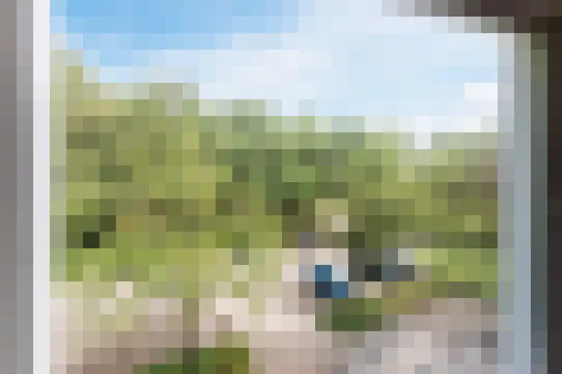 Gertrudisboulevard 124 Bergen op Zoom thumbnail 30