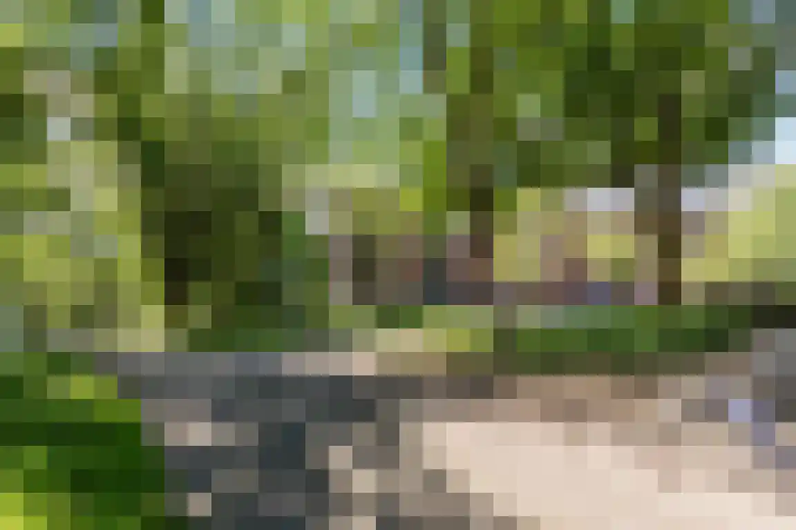 Gertrudisboulevard 124 Bergen op Zoom thumbnail 31