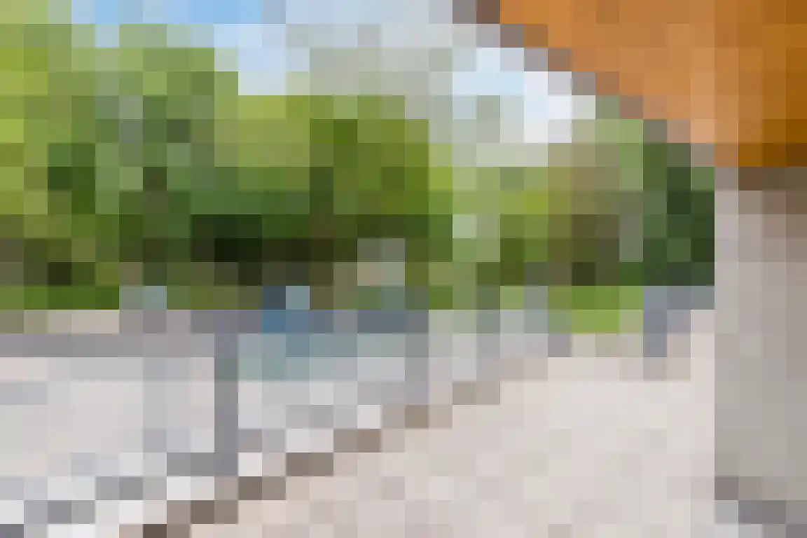 Gertrudisboulevard 124 Bergen op Zoom thumbnail 32