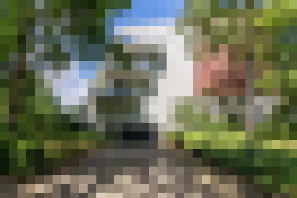 Gertrudisboulevard 124 Bergen op Zoom thumbnail 44