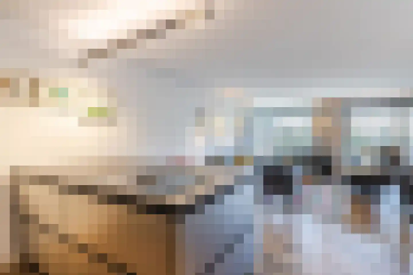 Gertrudisboulevard 140 Bergen op Zoom thumbnail 16