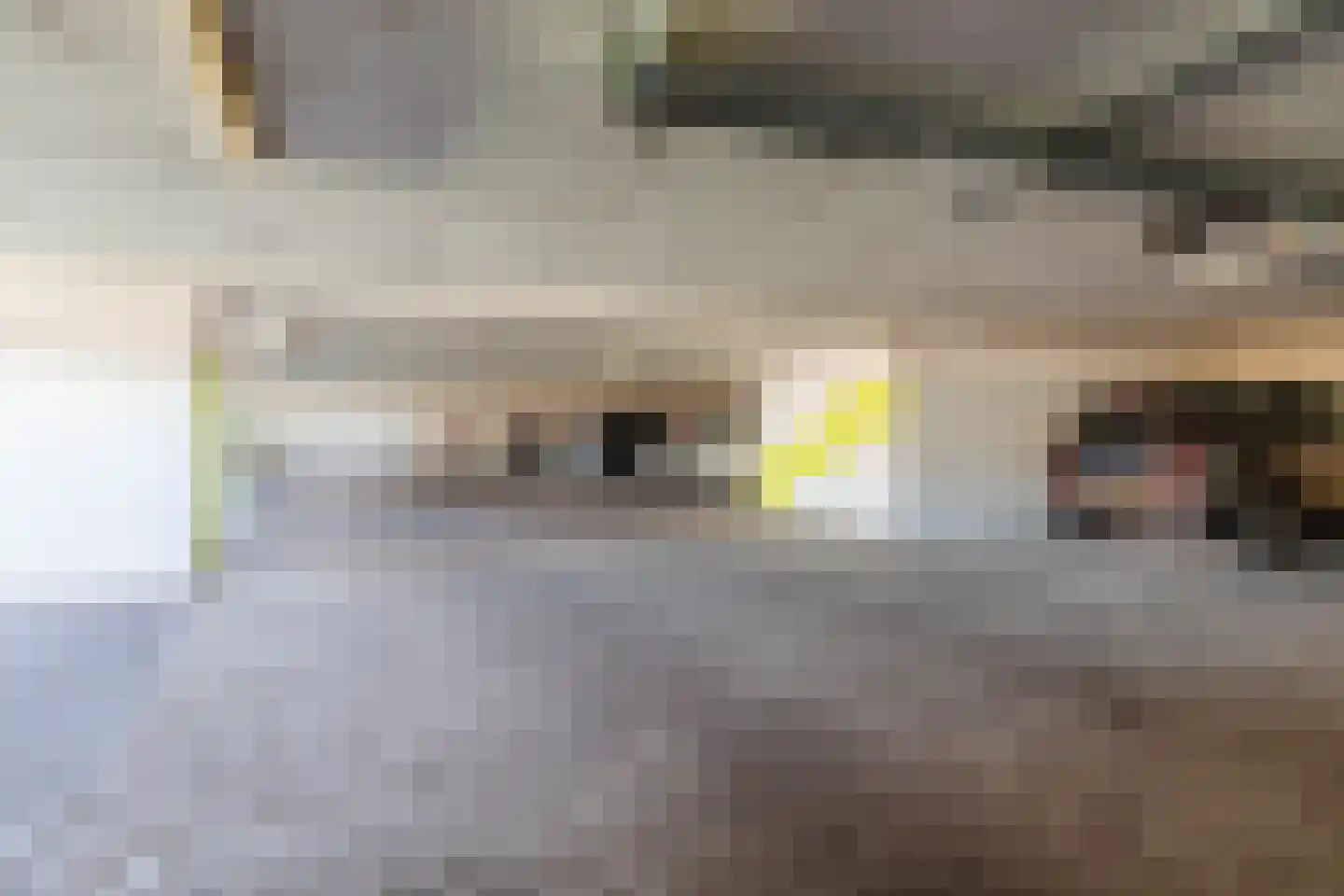 Gertrudisboulevard 140 Bergen op Zoom thumbnail 39