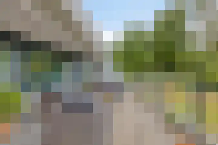 Gertrudisboulevard 34 Bergen op Zoom thumbnail 20