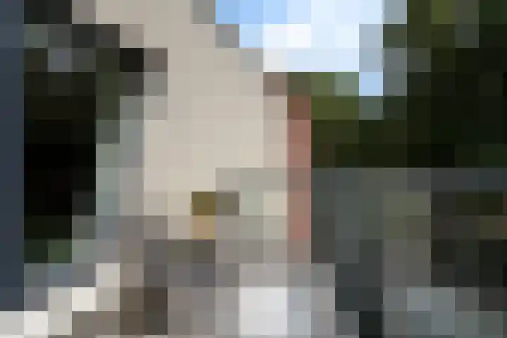Gertrudisboulevard 94 Bergen op Zoom thumbnail 27