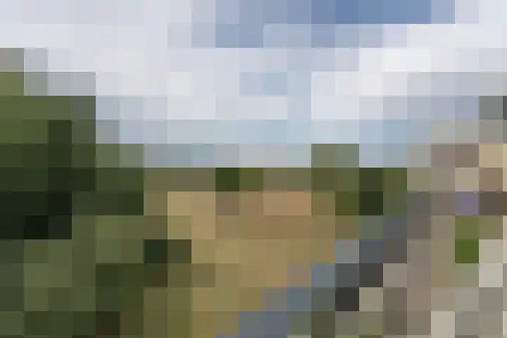 Gertrudisboulevard 94 Bergen op Zoom thumbnail 30