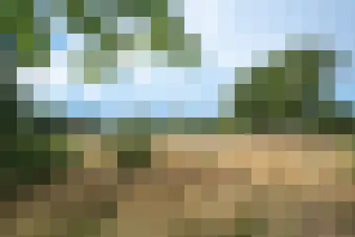 Gertrudisboulevard 94 Bergen op Zoom thumbnail 31