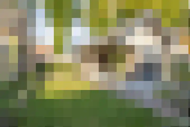 Gertrudislaan 23 Prinsenbeek thumbnail 28