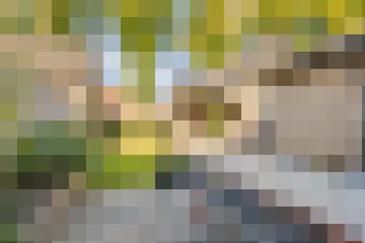 Gertrudislaan 23 Prinsenbeek thumbnail 5