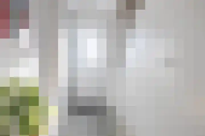 Gertrudislaan 23 Prinsenbeek thumbnail 7