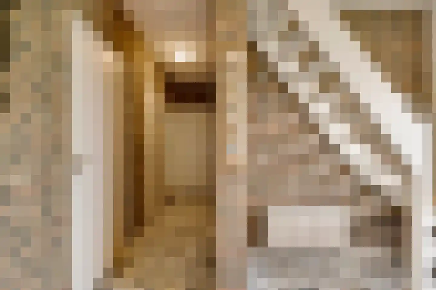 Gertrudisstraat 10 Oirlo thumbnail 12