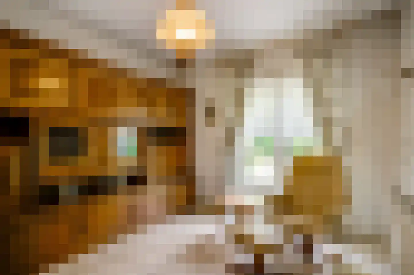 Gertrudisstraat 10 Oirlo thumbnail 20