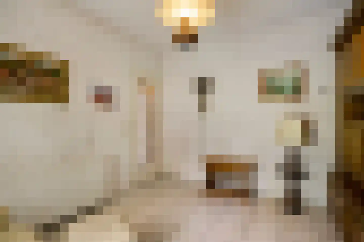 Gertrudisstraat 10 Oirlo thumbnail 21