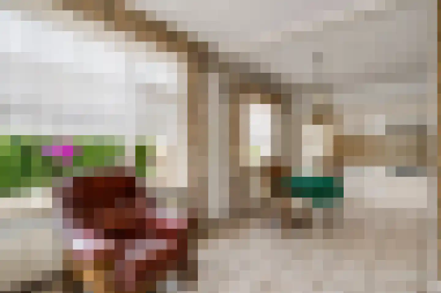 Gertrudisstraat 10 Oirlo thumbnail 25