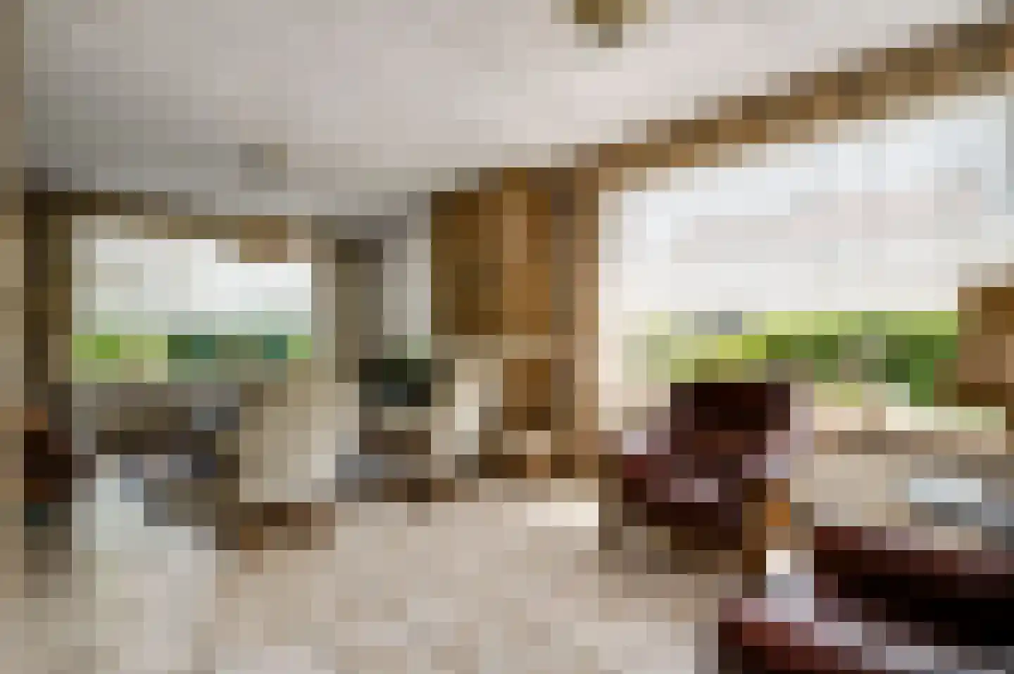 Gertrudisstraat 10 Oirlo thumbnail 26