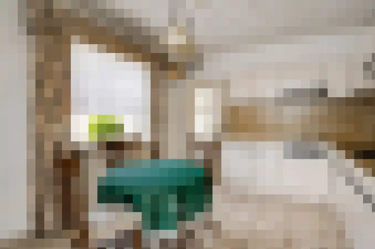 Gertrudisstraat 10 Oirlo thumbnail 27